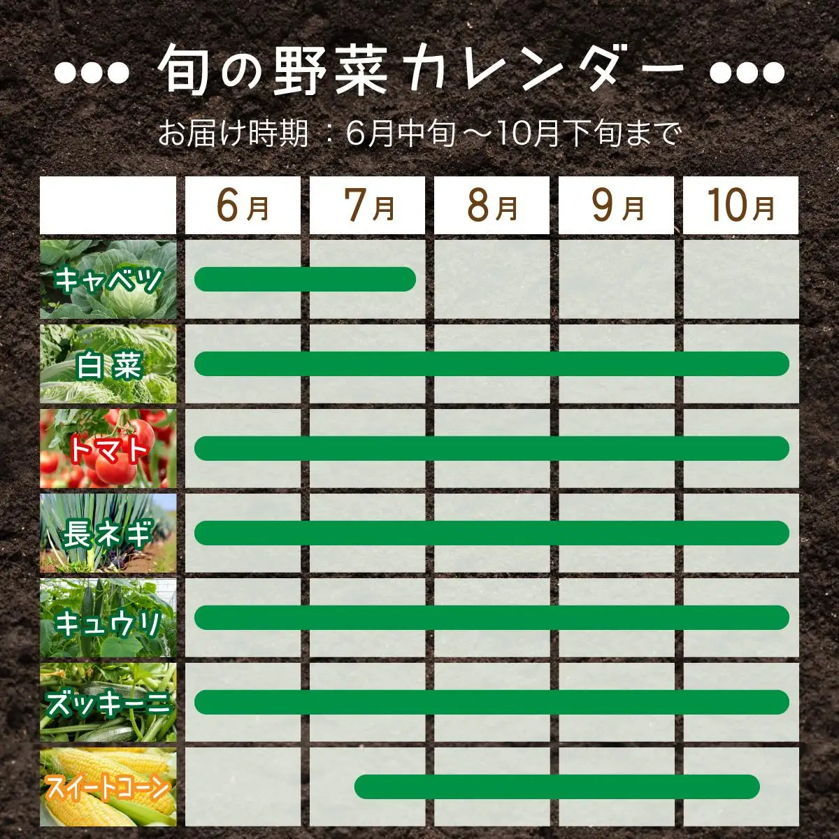 ＜定期便4回＞北海道 伊達市 産直・旬のおまかせ野菜詰合せ 9～10種【dnk-009】