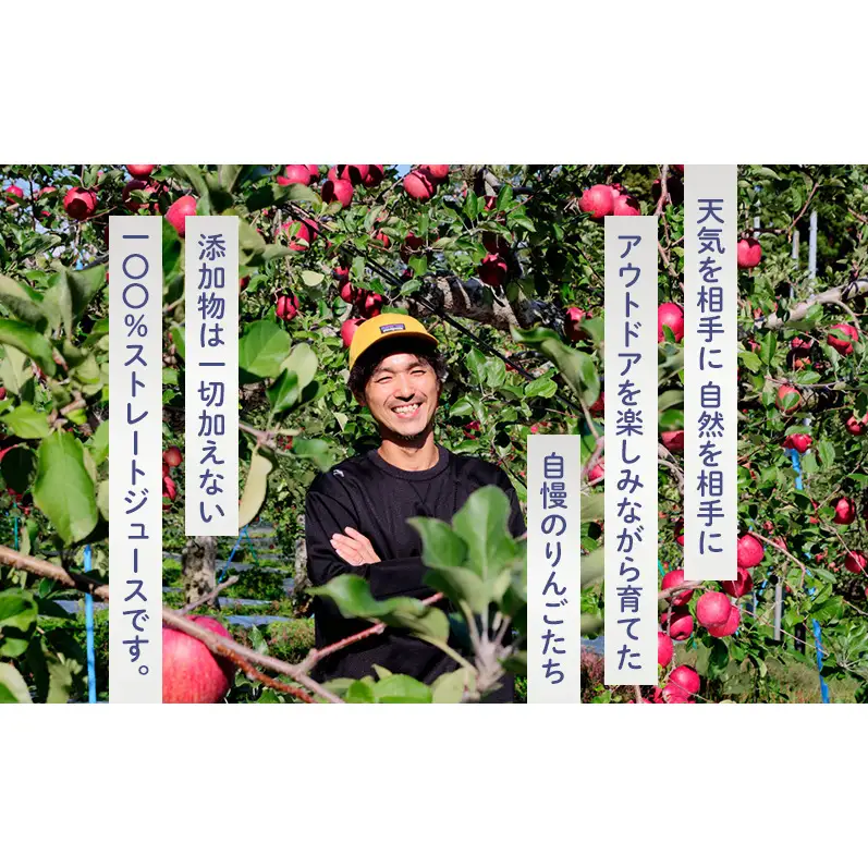 りんごジュース 西樹園 無添加 ストレートりんごジュース 1L×2本 青森県 鰺ヶ沢町 青森りんご ブレンド ジュース