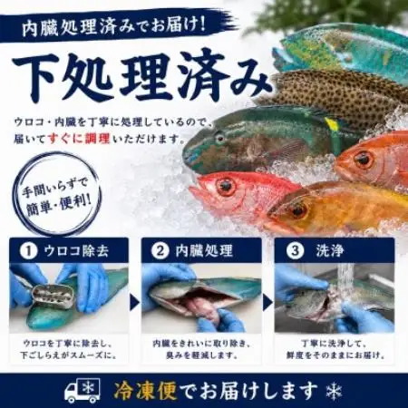 【国頭漁業協同組合直送】旬の鮮魚おまかせセット 3kg(4～8種類)【配送不可地域：離島】【1738197】