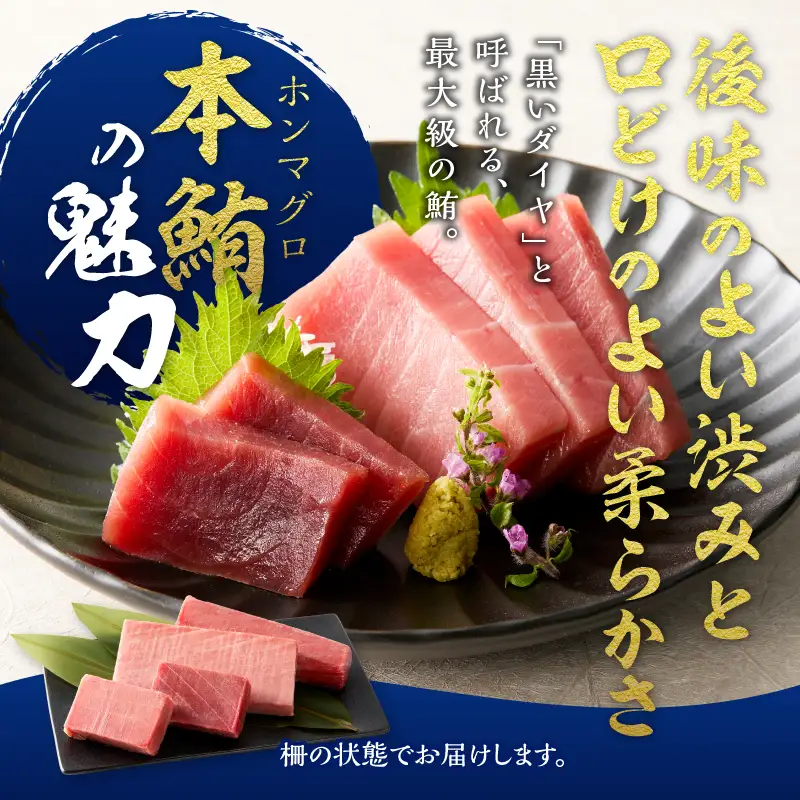 a66-003　マグロ 本マグロ 南マグロ 天然 中トロ 赤身 食べ比べ 柵 贅沢 1080g
