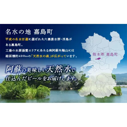 FK7-0340_ザ・プレミアム・モルツ香るエールとオールフリーのセット 各350ml×1ケース（24本） 熊本県 嘉島町 ビール