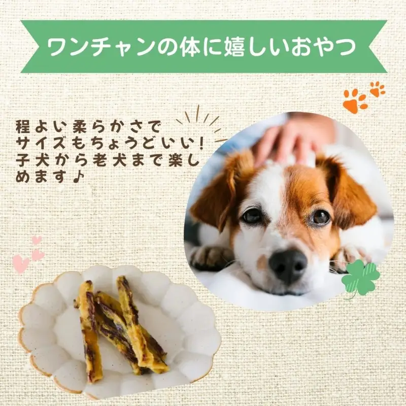  【犬のおやつ】やわらか干し芋スティック100g×2袋【delf053】 