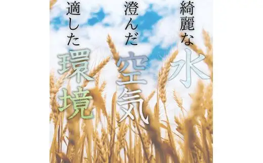 和歌山県産 キヌヒカリ 2kg(2025年産) / 白米 コメ 産地直送 米 こめ ご飯 ごはん コシヒカリ 【sml138】