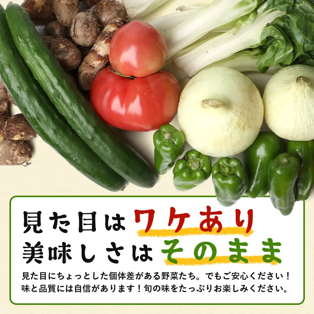 【定期便全3回】【規格外】本土最南端から 旬のおまかせ野菜セットA 10品目以上 NI-4 ｜ 旬 野菜 やさい 果物 くだもの 産地直送 農産物 冷蔵 鹿児島県 南大隅町産 詰合せ おまかせ 家庭用 訳あり なんたん市場