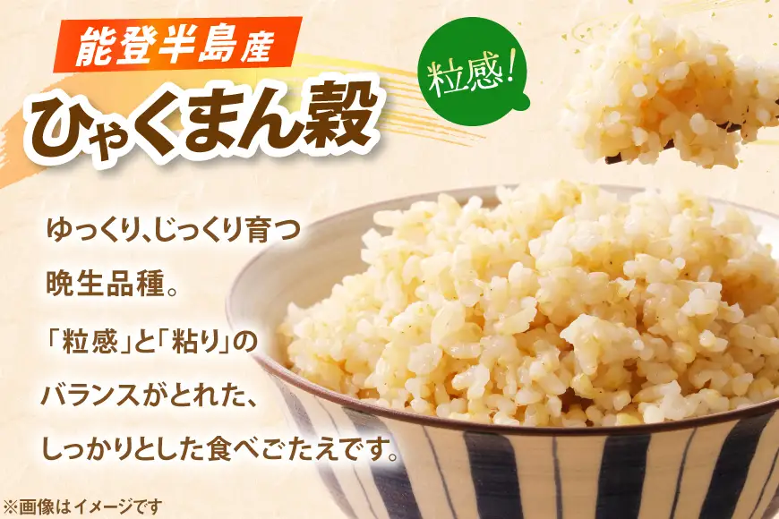 ひゃくまん穀 玄米 パックご飯 150g × 20食入り [みどりの波 石川県 宝達志水町 38601387]