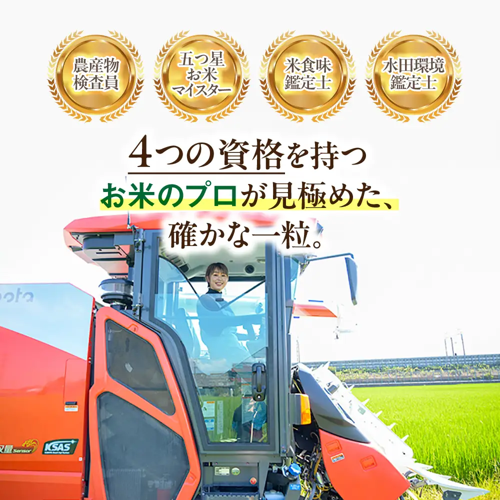 ≪令和7年度産≫ プロが厳選 玄米 ハツシモ 5kg｜玄米