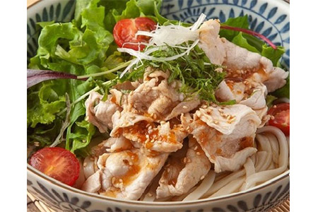しあわせ製麺の本場讃岐純生うどん大盛45人前 つゆ付き【H-39】