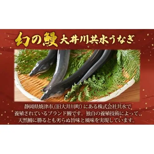幻の鰻 大井川共水鰻蒲焼  5尾 ウナギ 鰻 国産 山椒 タレ たれ 養殖 大井川 共水うなぎ ブランド 土用 丑の日 蒲焼き 熟練の技 冷凍 うなぎ割烹 にし村 お取り寄せ 贈り物 贈答用 ギフト ご馳走 お祝い 送料無料 千葉県 松戸市 