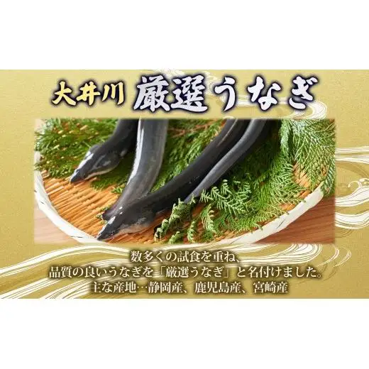 厳選 国産 鰻蒲焼 3尾 ウナギ たれ 山椒 鰻 養殖 ブランド 土用 丑の日 蒲焼き 熟練の技 冷凍 ふっくらうなぎ 割烹 にし村 専門店 お取り寄せ 贈り物 贈答用 ギフト ご馳走 うな丼 うな重 ひつまぶし お祝い 送料無料 千葉県 松戸市