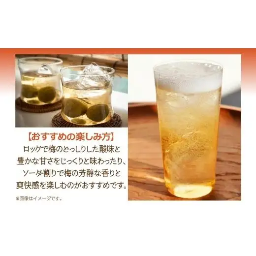 合同酒精 本格梅酒 鴬宿梅 おうしゅくばい 至極二段 720ml 梅酒 果実酒 フルーツ酒 ロック ソーダ割り 水割り 鶯宿 奈良県産 国産梅 フレッシュ 熟成 甘い 爽快感 お酒 酒 アルコール 飲料 ご当地 お取り寄せ 送料無料 千葉県 松戸市