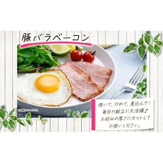 ソーセージ ベーコン 詰め合わせ 6種 豚バラ 豚 肉 朝食 BBQ バーベキューパーティー お肉屋さん バラエティー ウインナー チョリソー ブロック肉 おつまみ ギフト おすすめ おかず 時短 お取り寄せ 冷凍 エフイーフーズ 千葉県 松戸市