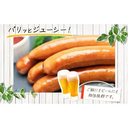 自家製ソーセージ 詰め合わせ 5種 豚 肉 朝食 BBQ バーベキュー ソーセージ ウインナー 黒ゴマ 枝豆 ホワイト 豚トロ プレーン チョリソー 辛い おつまみ ギフト お取り寄せ 元祖 生 冷凍 エフイーフーズ 千葉県 松戸市