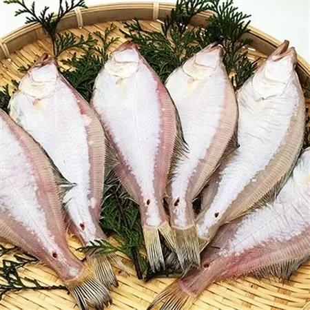 山陰名産エテカレイ一夜干し　6枚　兵庫県新温泉町　【配送不可地域：離島】【1109959】