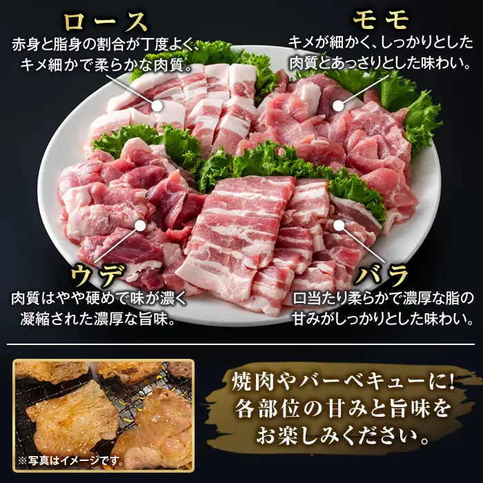 K-379-E ＜6回定期便＞鹿児島県産霜降りトロ豚 焼肉用バラエティセット(合計6kg)【ふるさと産直バザール】霧島市 ロース バラ ウデ モモ 焼き肉 ヤキニク 豚肉 国産 鹿児島県産 肉 精肉 小分け セット 食べ比べ 定期便