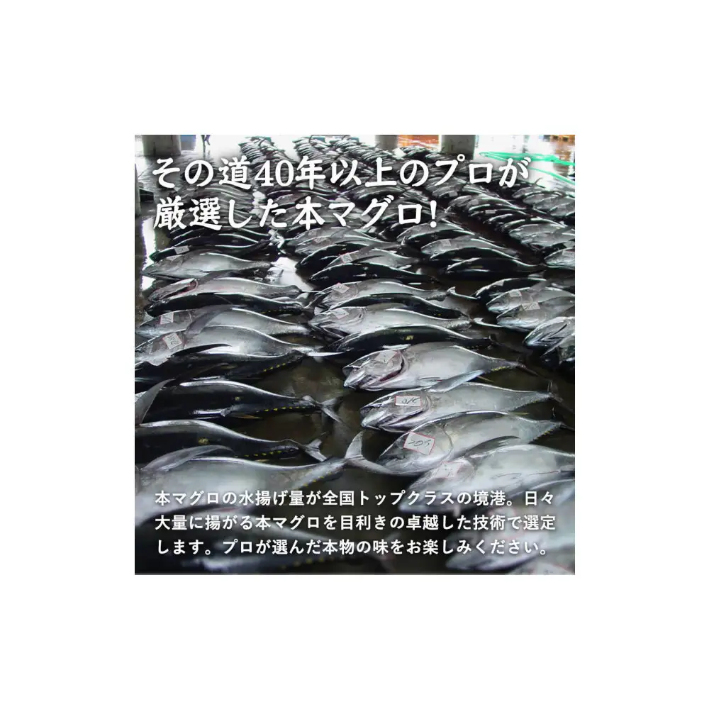 天然本マグロ(黒マグロ)　赤身300～400g