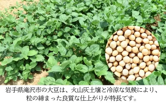 栽培期間中:農薬不使用 大豆 りゅうほう 3kg 【へいわのうえん】 豆 まめ マメ ダイズ 中粒 国産 なっとう 納豆 豆腐 トウフ とうふ 自家製 きなこ きな粉 ミソ 味噌 みそ 煮物 水煮 サラダ カレー トッピング 食材 常備食 大容量 人気 オススメ おすすめ