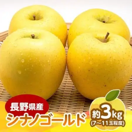 【発送月固定定期便】信州人気のフルーツ(シナノゴールド・いちご)セット全2回【配送不可地域：離島】【4085523】