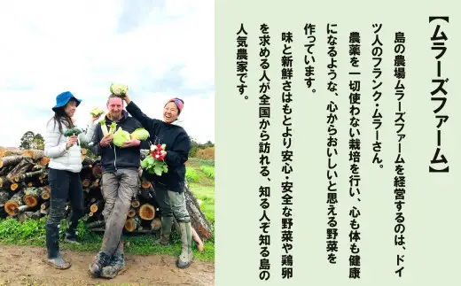 【農家直送】【2026年7月以降順次発送】海士町産 じゃがいも 10㎏ 有機野菜 オーガニック