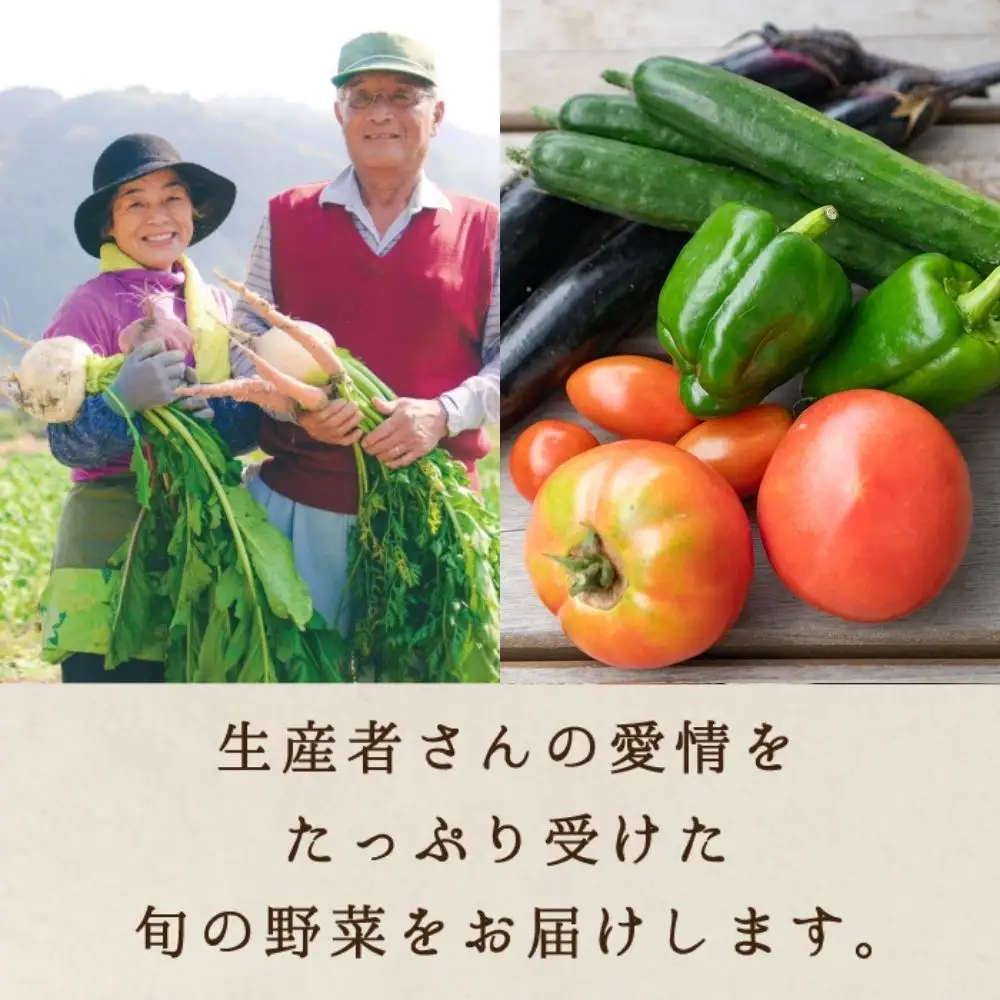 ふるさとお節介ギフト【夏】 (2026年7月上旬～8月下旬発送予定) / 先行予約 産地直送 yasai034 【配送不可地域：北海道／沖縄県／離島】 【jujy091-01】