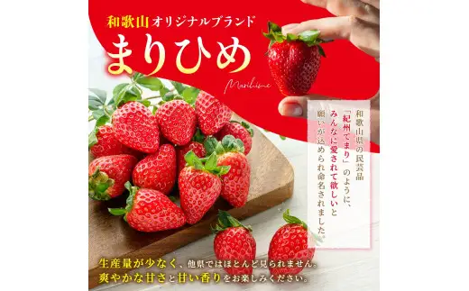 まりひめ イチゴ L～２L 12粒～15粒×2パック / 果物 甘い いちご 和歌山 ※2027年1月中旬～3月下旬頃配送予定【先行販売】※離島への配送不可【kgr500-250-2A】