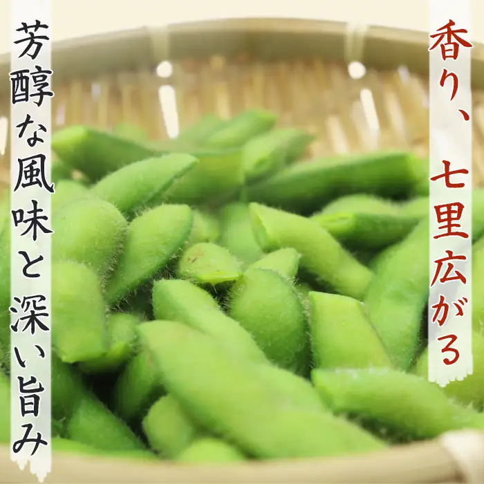 【幻の枝豆】十日限りの収穫！鴨川の伝統品種『鴨川七里』枝付き ２kg以上 《数量限定》《期間限定》《10月下旬一斉発送》えだまめ エダマメ 枝豆 在来種 極晩生 在来種 限定生産 農家直送 収穫したて 採れたて 枝付き枝豆 [貝渚七里会][0012-0082]