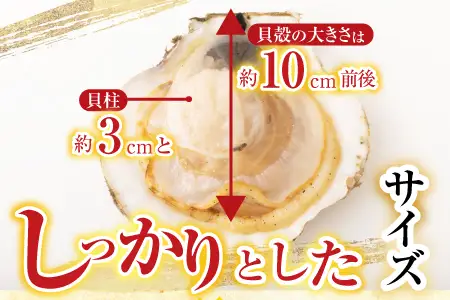 ＼漁業者応援品／根室海鮮市場[直送]片貝ほたて10枚×2P A-28124