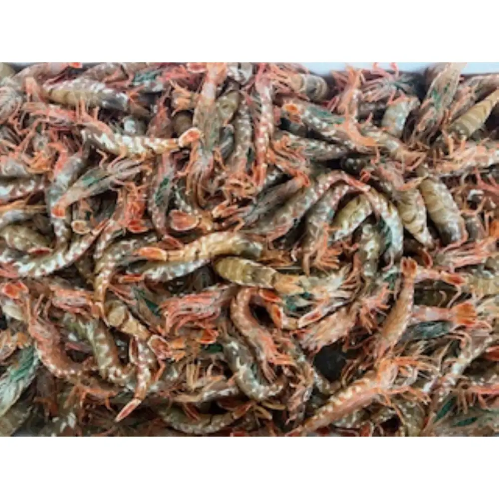 ＜定期便＞『境港の全部を食す』旬のお魚宅配便(全4回)