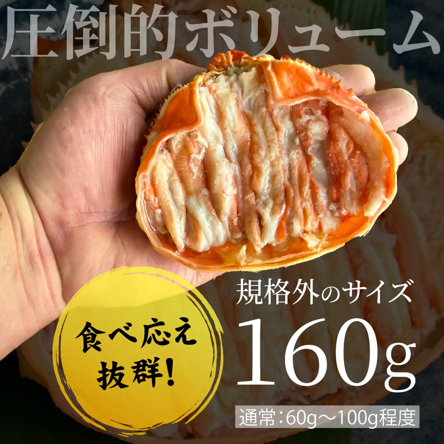 日本海産紅ズワイガニ甲羅盛り 約160g×4個 [A-007025] / 紅ずわいがに 甲羅盛り かに 蟹 蟹 ガニ 冷凍 紅ズワイガニ 蟹味噌 かに味噌 かにみそ むき身 カニ