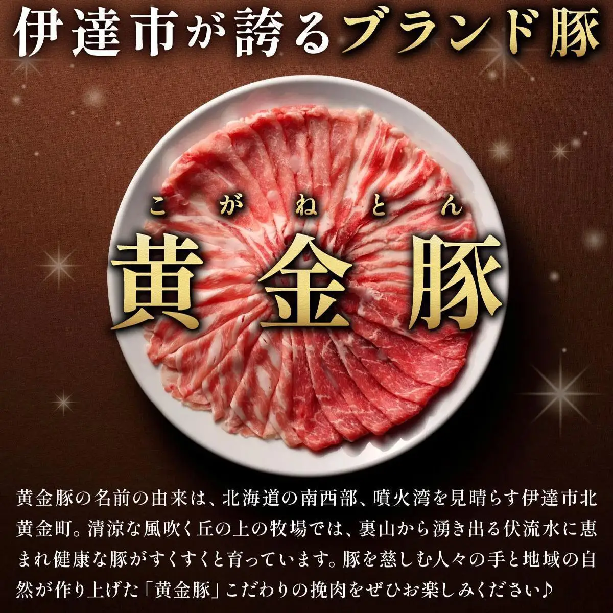 ＜7月発送＞＜黄金豚＞ブランドポーク 北海道 豚ひき肉 普通挽き 200g 22パック 計4.4kg | 伊達産 黄金豚 三元豚 ミンチ 挽肉 お肉 豚肉 小分け ハンバーグ 餃子 カレー 大矢 オオヤミート 冷凍 送料無料 ooy-005-2607