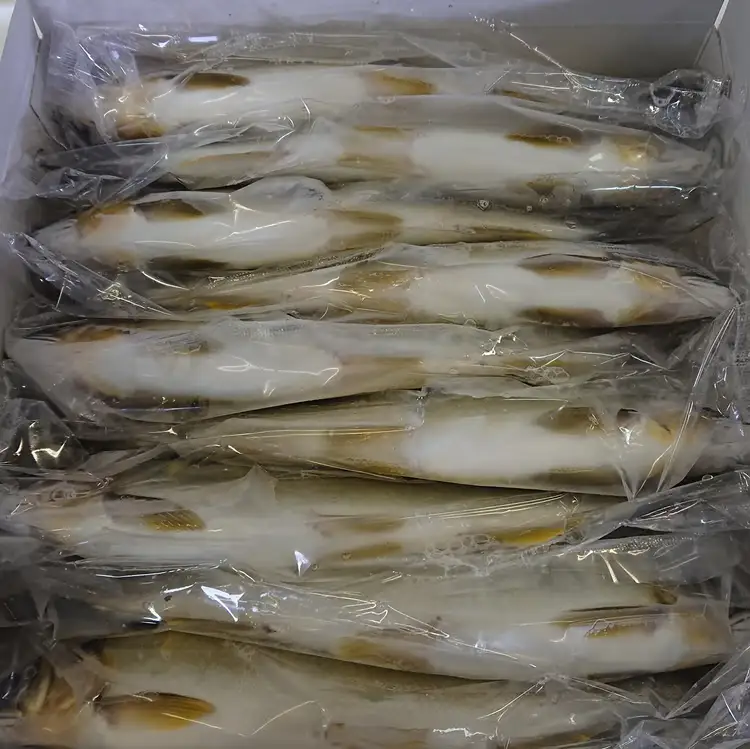 滋賀県産 鮎 1kg 7～11尾入り 冷凍 大 ～ 特大 サイズ あゆ アユ 生鮎 生あゆ 滋賀 愛荘