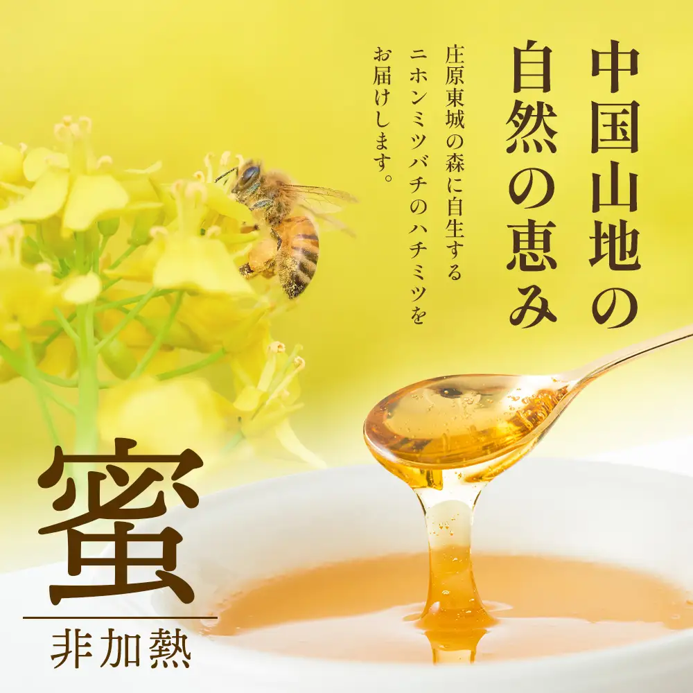 二ホンミツバチのハチミツ 250g×1個 | はちみつ 蜂蜜 国産 非加熱 にほんみつばち 日本蜜蜂
