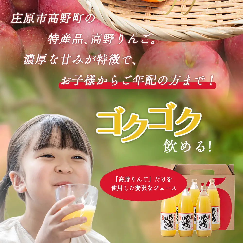 高野りんごジュース 6本 （1000ml×6本）合計6L | りんご リンゴ 林檎 100％りんごジュース