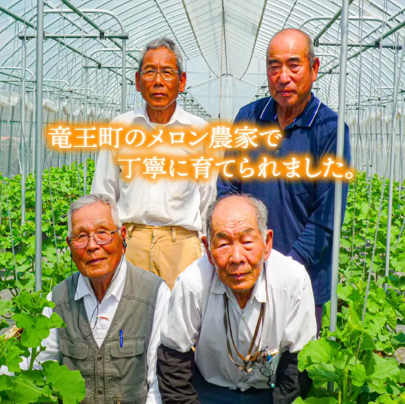 特選 メロン 赤肉 青肉 4L 計 2玉 メロン メロン メロン メロン