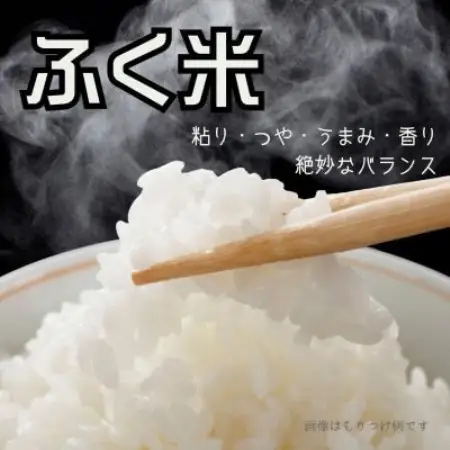 【お米市場】村田町ふく米(ひとめぼれ・白米・令和7年産)10kgオリジナルブランド【1734643】