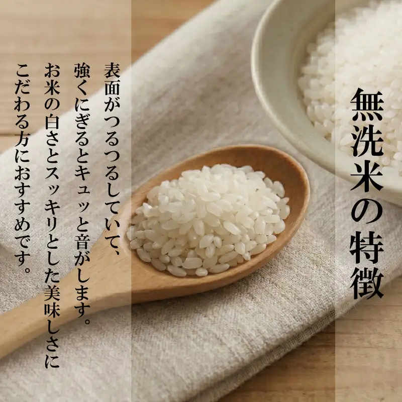 令和7年産 無洗米 10kg 栽培期間中農薬不使用 米 白米 お米 コメ こしひかり コシヒカリ おむすび おにぎり 徳島県産 小松島市