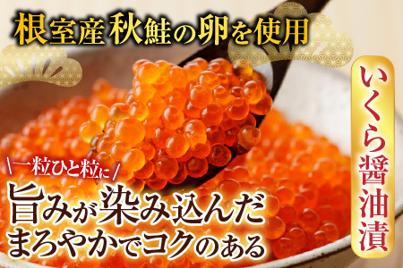 【北海道根室産】[鮭匠ふじい]いくら醤油漬250g・辛子明太子250g C-42069