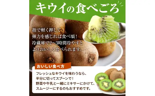 【先行予約】 先行予約！和歌山県産 秀品 キウイフルーツ 大玉15個入 こだわり農家厳選  / キウイ 果物 フルーツ ※2026年12月中旬～2027年1月中旬頃に順次発送予定 ※離島への配送不可【kgr021】