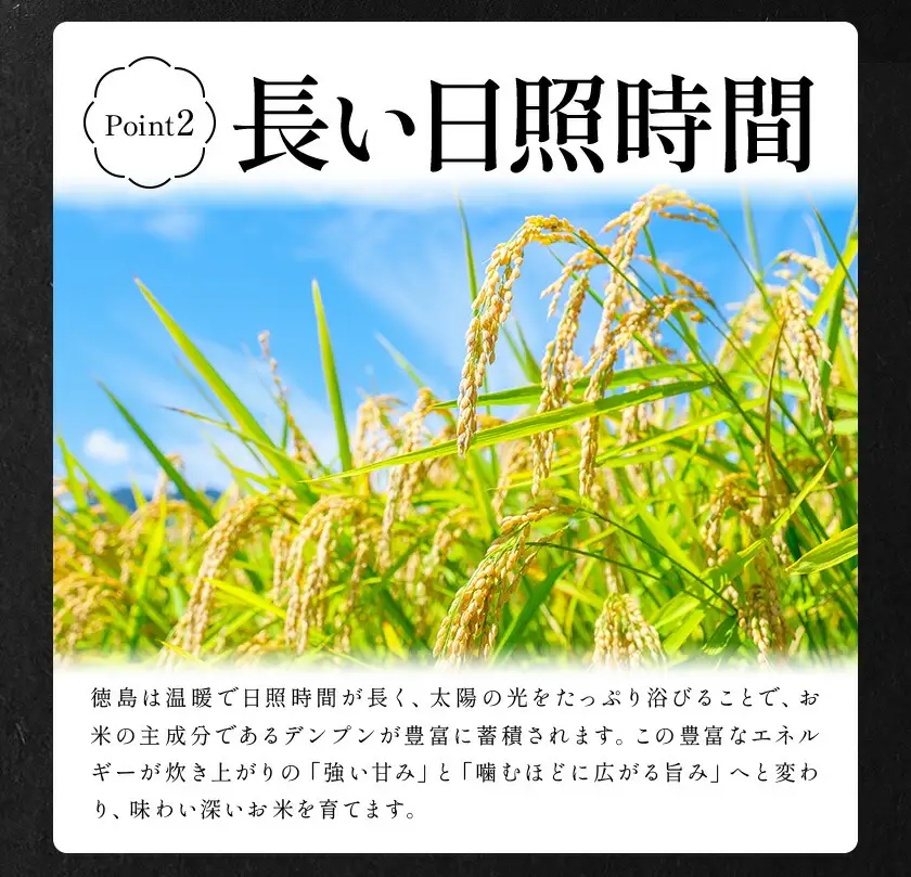 【7月上旬発送】 徳島ふるさと実り米 精米 5kg 