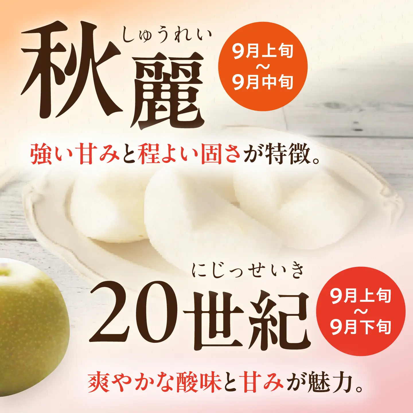 【2回定期便】朝採り旬の梨 約2.5kg（6玉）/回 計5kg 大村市 産直松吉/梨 なし 定期便 梨 幸水 豊水 秋麗 あきづき 新高 20世紀 二十世紀 かんた[ACZC012]