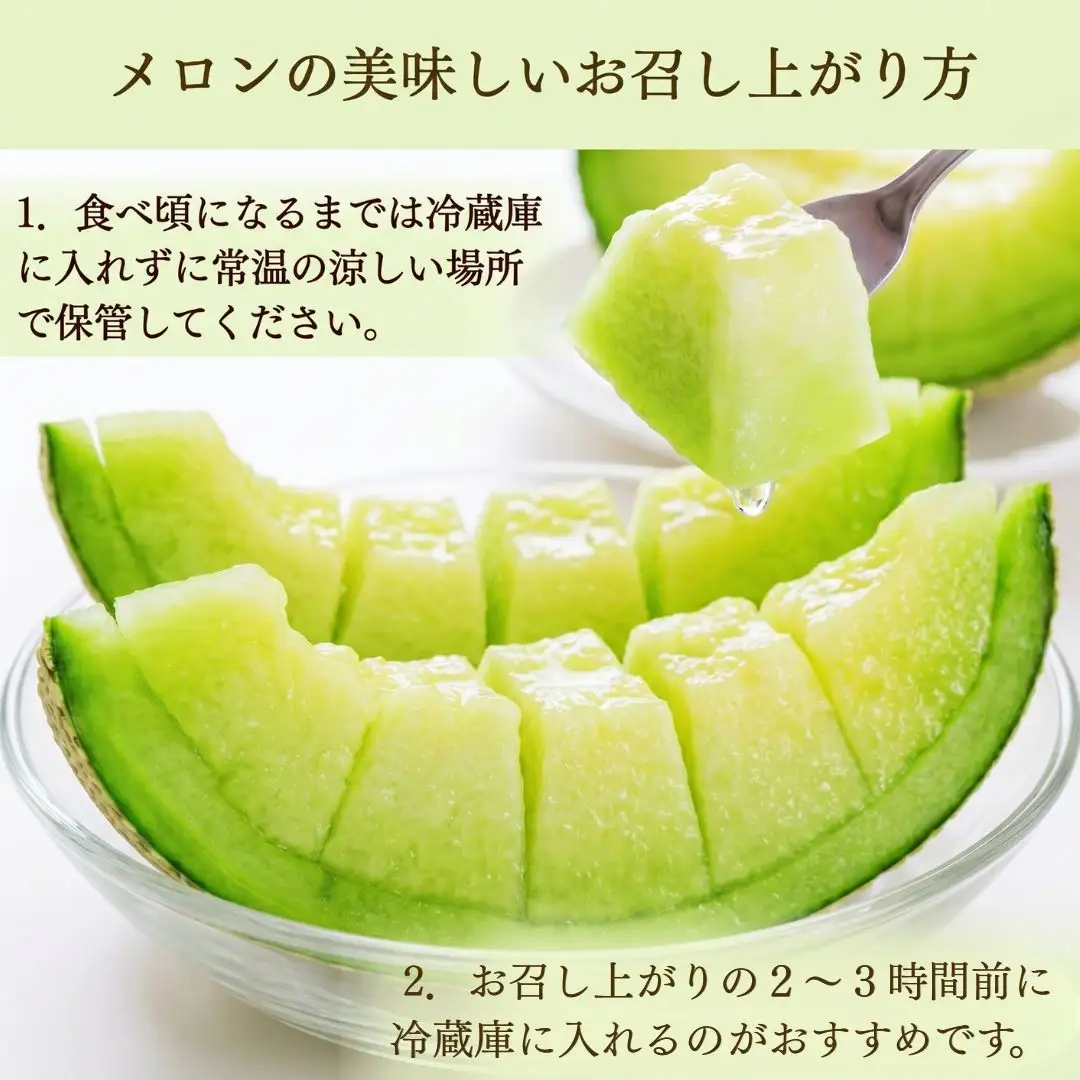 【先行予約】 アールスメロン 1玉 約2kg マスクメロン 青肉 石川県 小松市
