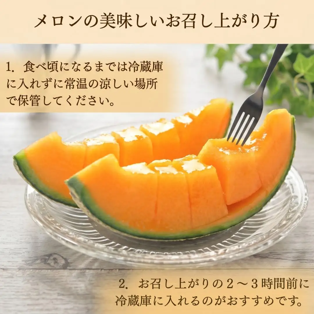 【先行予約】 レノンメロン 1玉 約2kg 赤肉 メロン 石川県 小松市