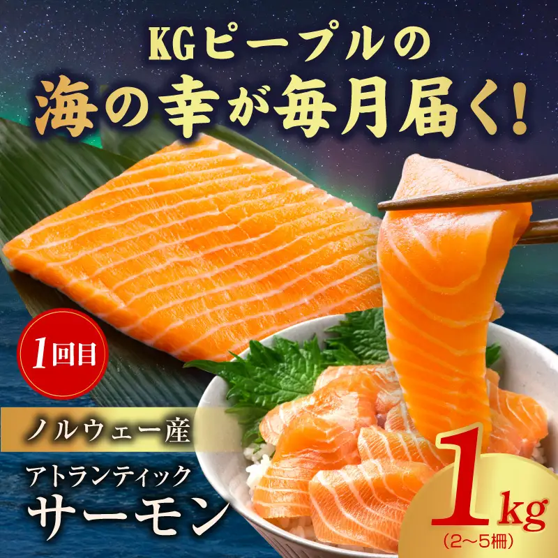 海鮮食べ比べ 定期便 全5回 総量6kg以上