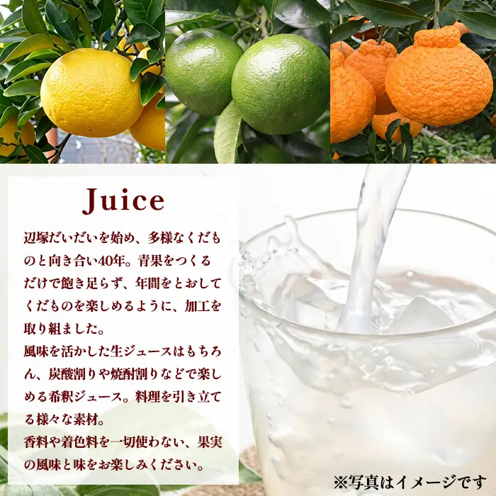 【A83011】辺塚だいだい(生果汁)・甘夏(希釈用)ジュースセット 鹿児島 国産 フルーツ 果物 果実 果汁 ドリンク ストレートジュース 飲み比べ 辺塚だいだい みかん 蜜柑 ギフト 【農地所有適格法人株式会社P＆Y'sLabo】