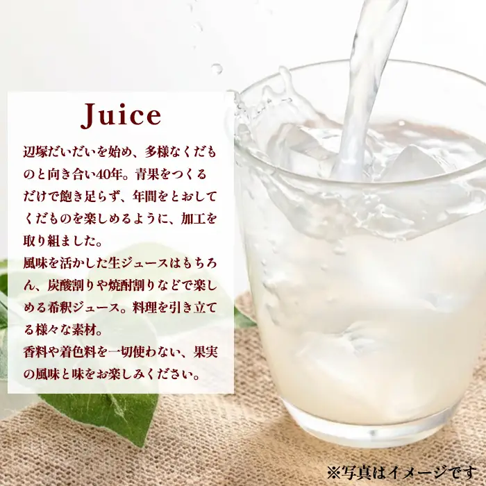【A83012】辺塚だいだい(生果汁)・ゆず(希釈用)ジュースセット 鹿児島 国産 フルーツ 果物 果実 果汁 ドリンク ストレートジュース 飲み比べ 辺塚だいだい みかん 蜜柑 ギフト 【農地所有適格法人株式会社P＆Y'sLabo】
