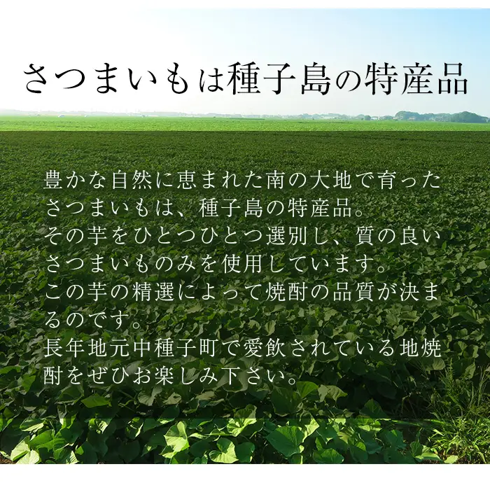 焼酎 島黒(900ml×12本) 鹿児島 種子島 芋 ボトル お酒 ギフト 四元酒造 【アイショップ西水店】n186-3