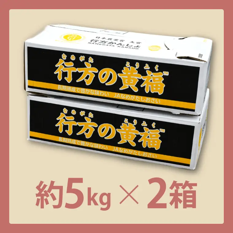 【訳あり】行方かんしょ「行方の黄福（栗かぐや）」さつまいも約10kg（洗い・不揃い・C品）｜茨城県 行方市 ふるさと納税 芋 野菜 栗かぐや(AE-151)