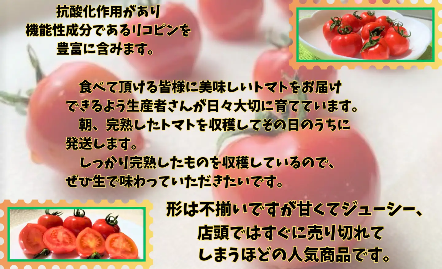 収穫当日発送！完熟フルーツトマト（フルティカ）1kg