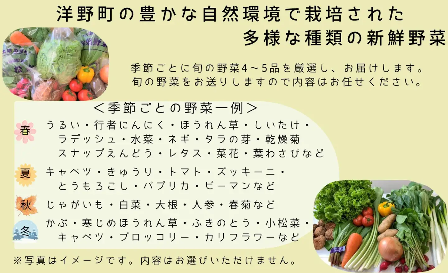 【3ヵ月定期便】季節のお野菜おまかせセット（4～5品程度）