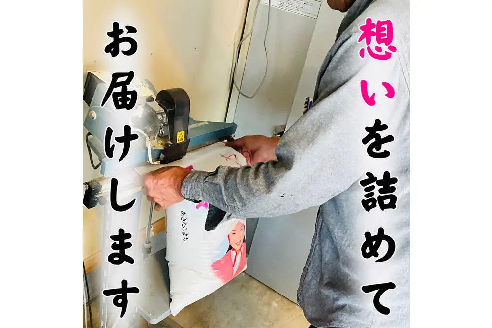 白米 青森県産あきたこまち 精米 10kg 令和7年産
