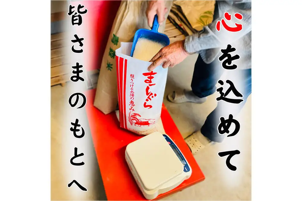 白米 青森県産まっしぐら 精米 10kg 令和7年産